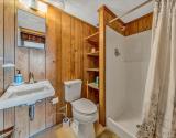 Lower Level Bathroom