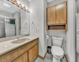 Lower Level Bathroom