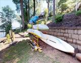 Mellow Yellow: Shoreline