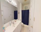 Lower Level Bathroom