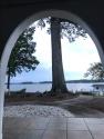 Arch View