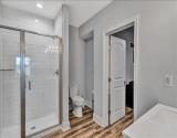 Lower Level Bathroom