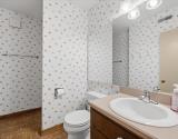 Lower Level Bathroom
