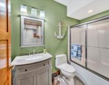 Lower Level Bathroom 2
